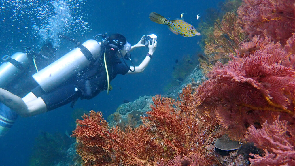 koh docmai diving from phuket 02