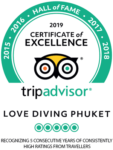 love diving phuket tripadvisor award 01