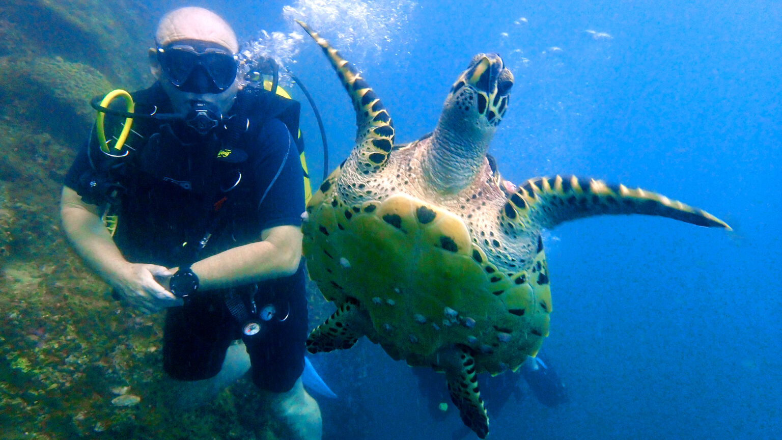 Best Diving From Phuket Top 3 Day Tours