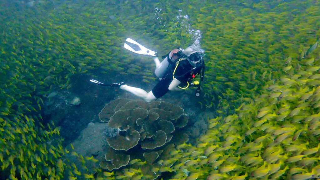 phi phi diving from phuket 02