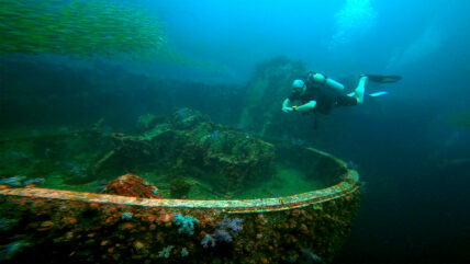 phuket diving tours king cruiser 01