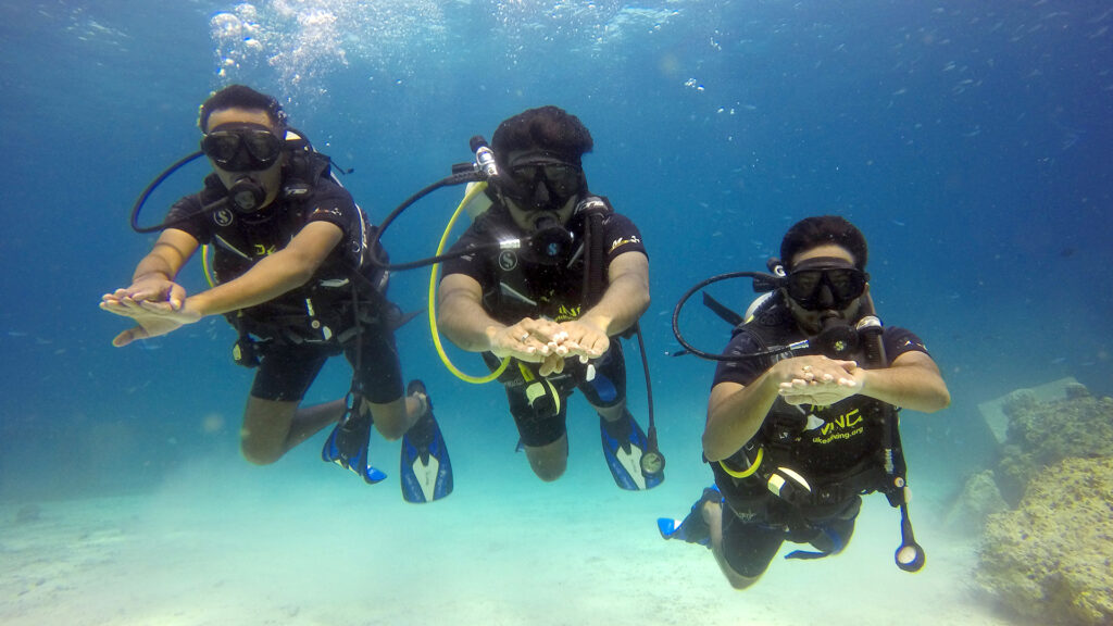 PADI Discover Scuba Diving