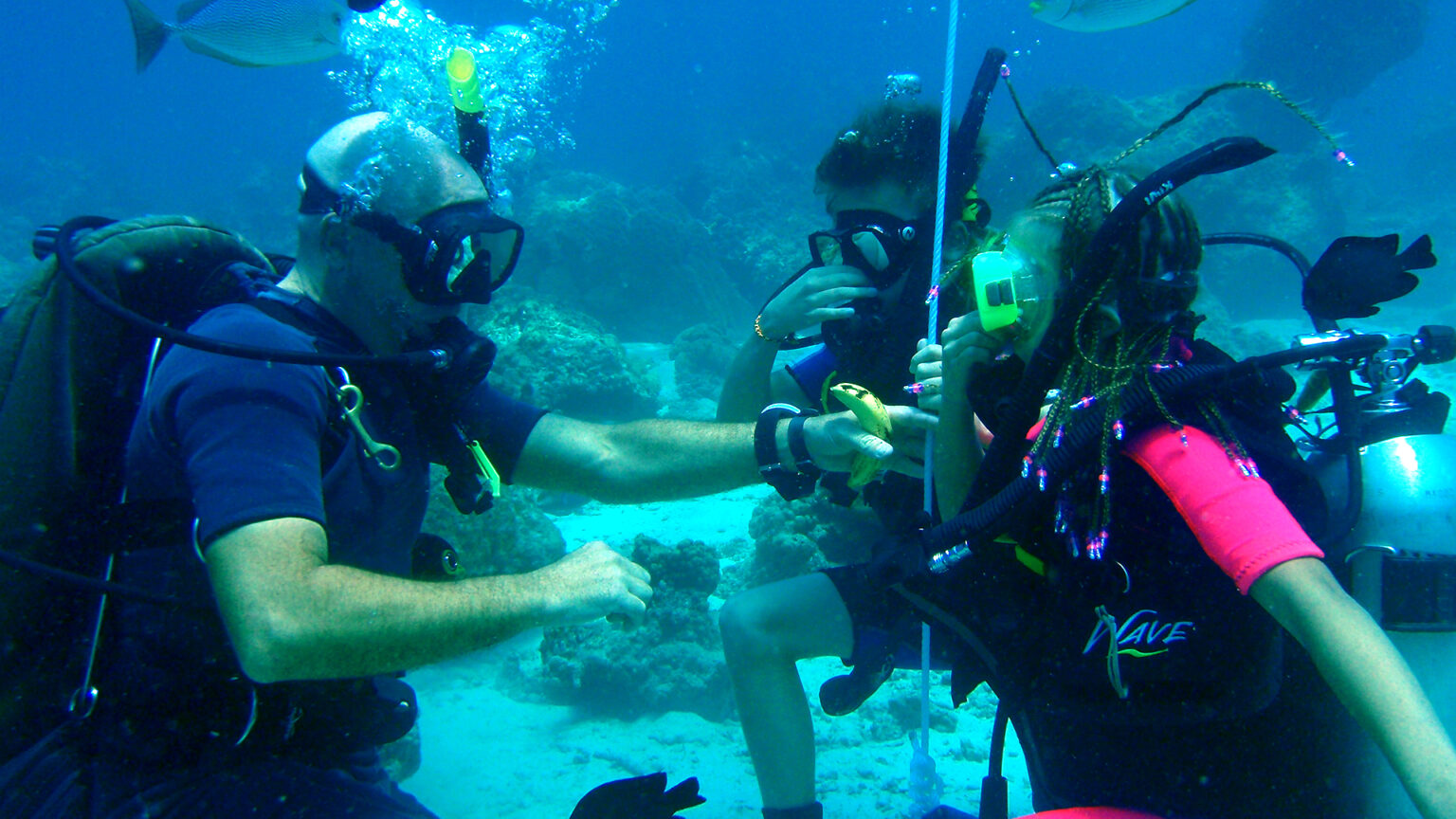 20+ Love Diving Phuket PADI Courses