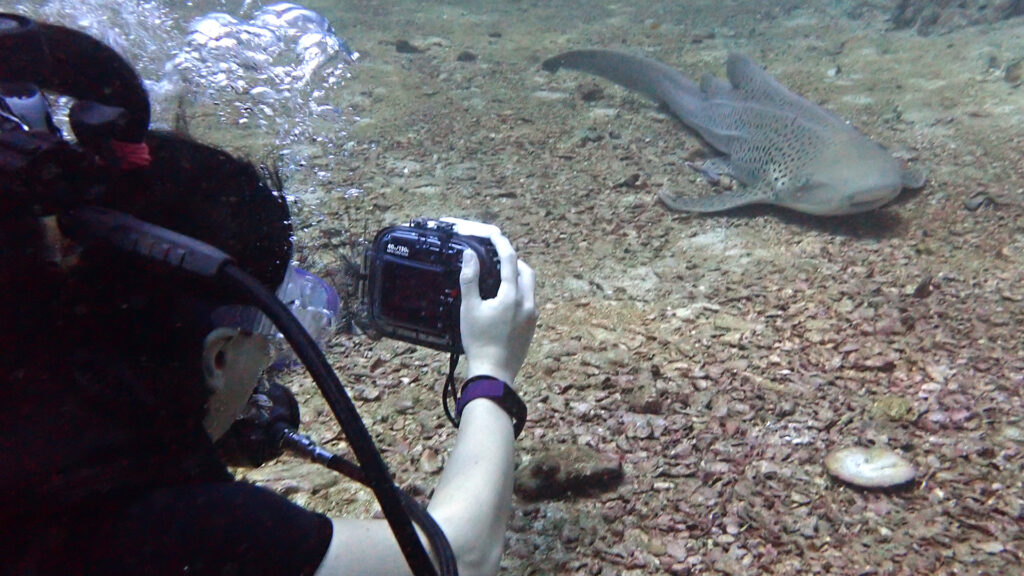 phuket padi specialty courses 01