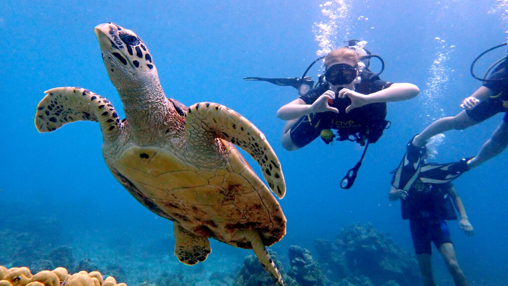 racha noi diving from phuket 02