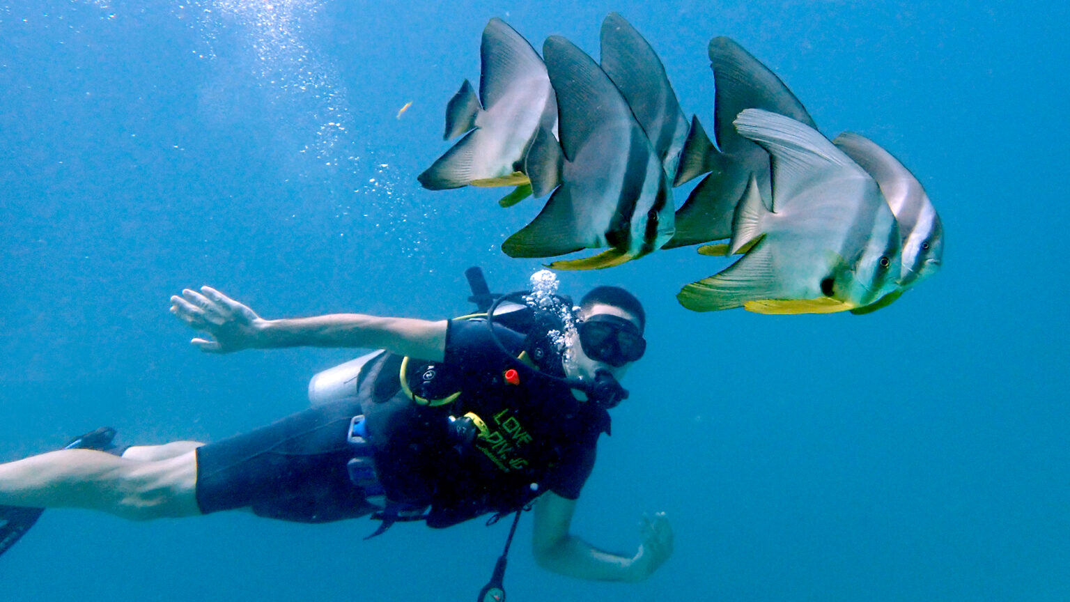 Best Diving From Phuket - Top 3 Recommended Day Tours