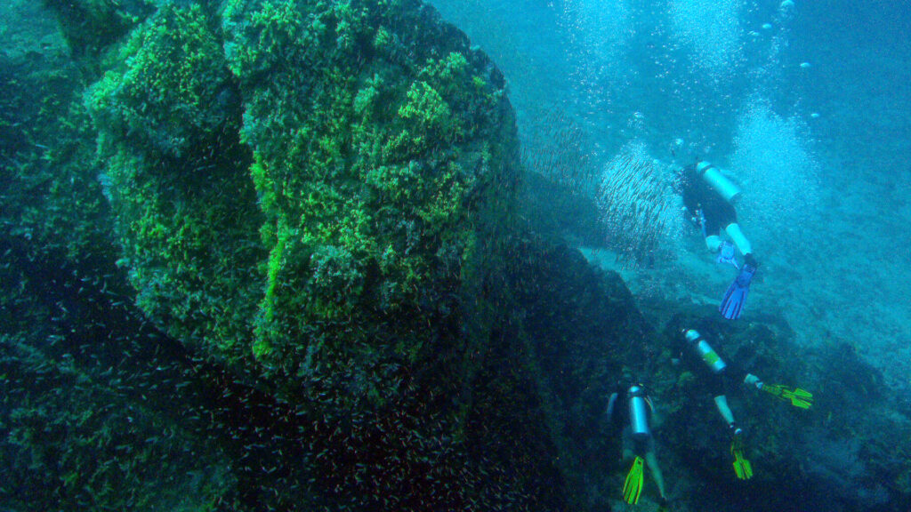 thailand liveaboard diving koh bon 01