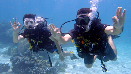 padi discover scuba diving phuket 03