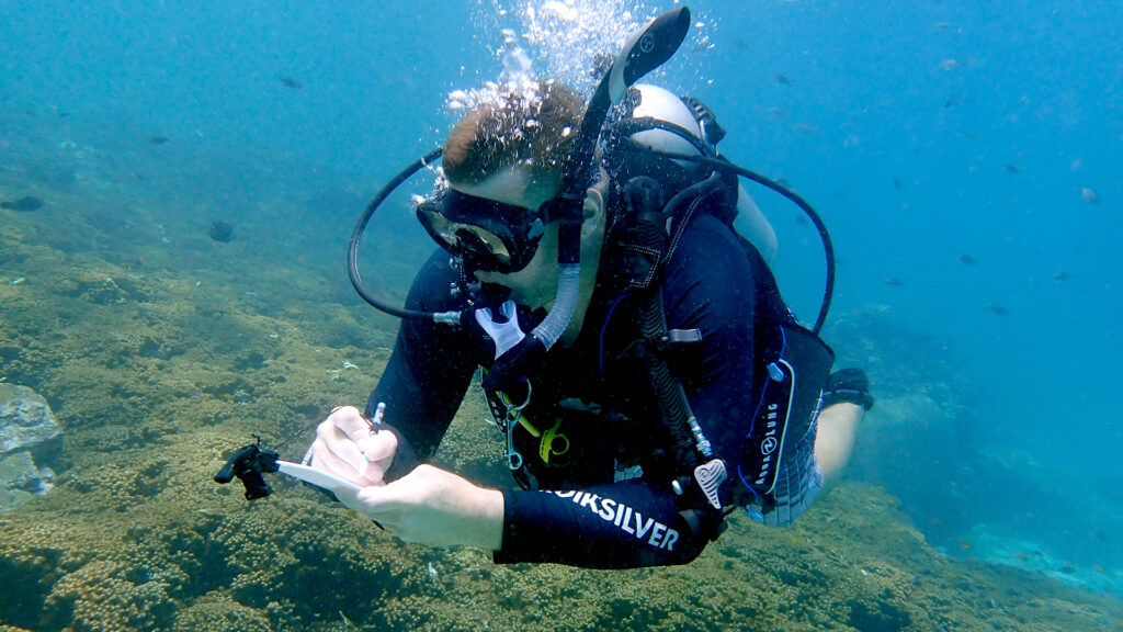 padi divemaster course phuket 01