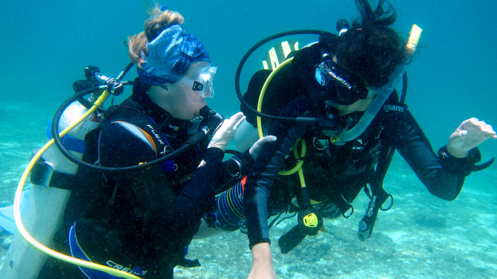 padi rescue dver course phuket 03