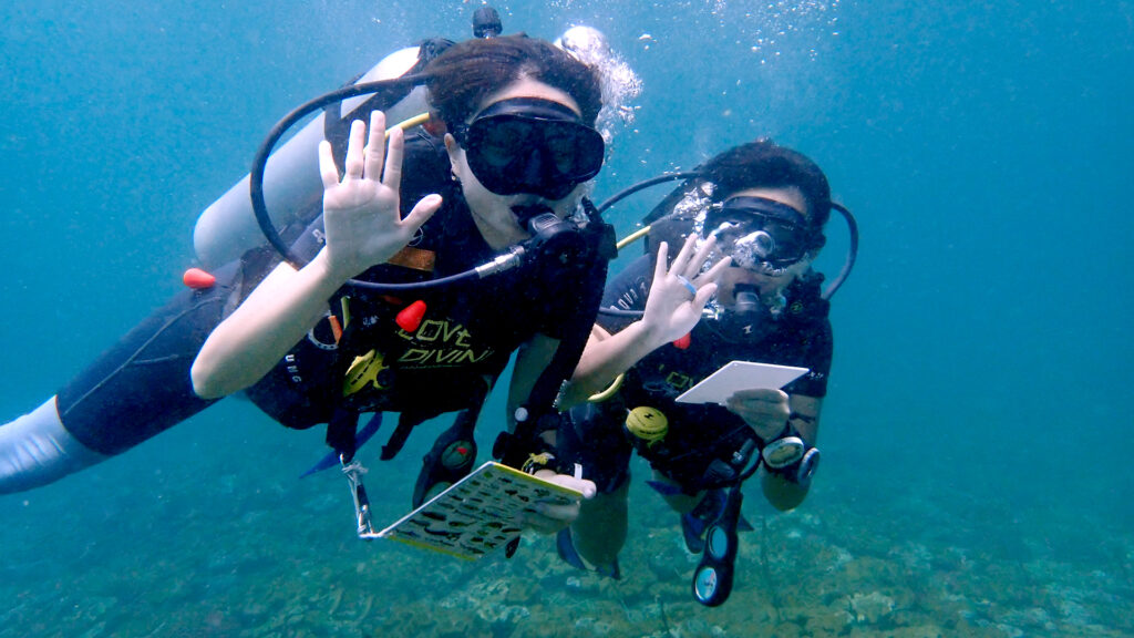 padi fish identification specialty phuket 01