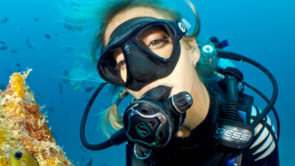 scuba diving equipment regulator 01