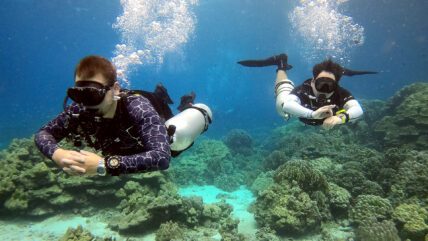 scuba diving equipment sidemount 01