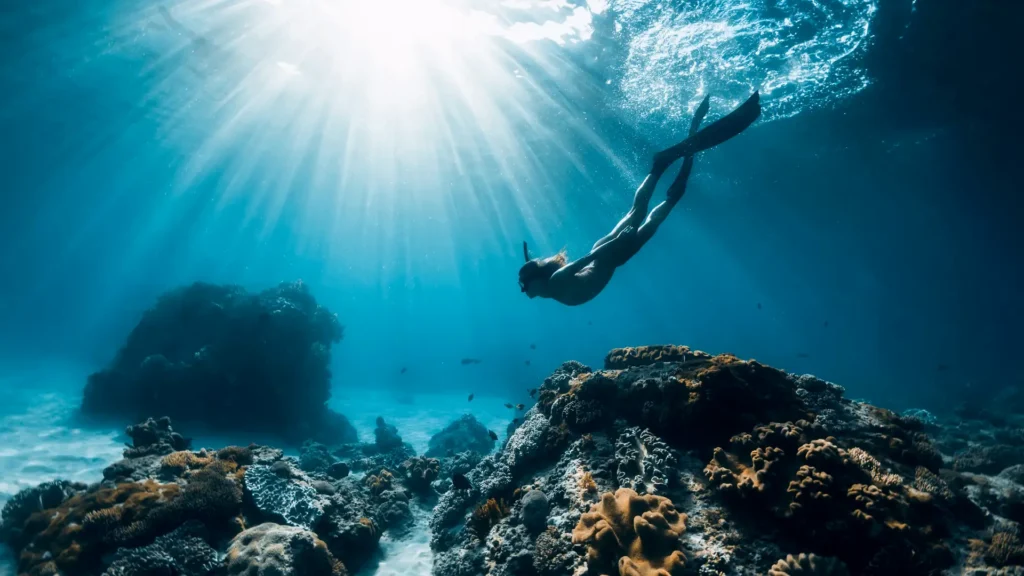 Freediving Courses Phuket